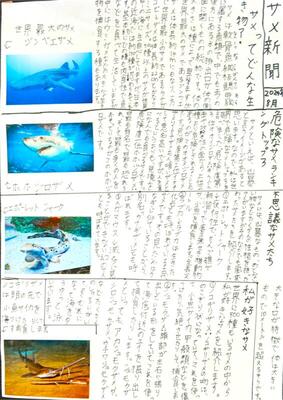 ジャケット