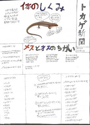 ジャケット