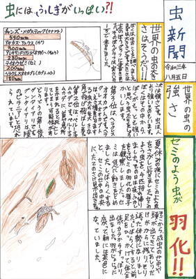 ジャケット
