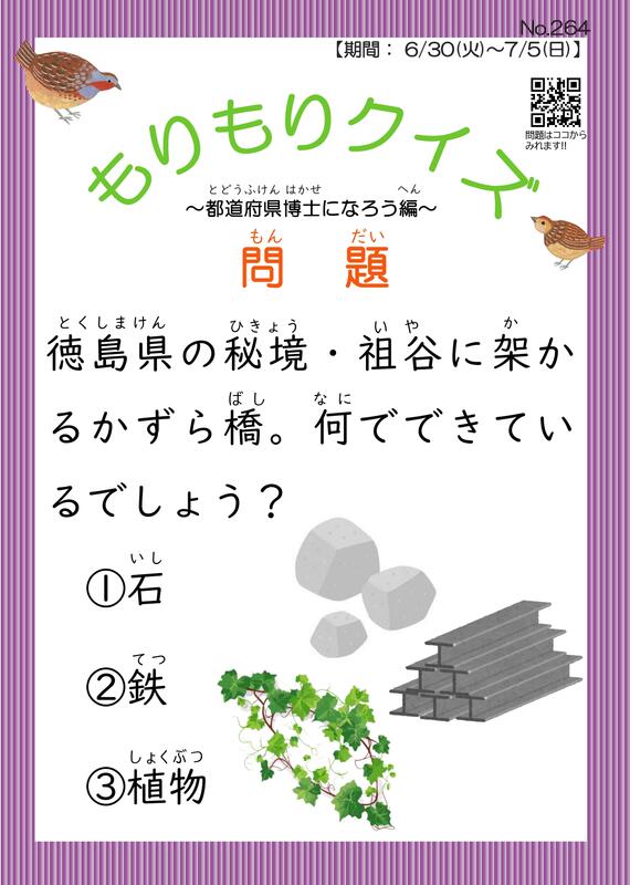 もりもりクイズ6月30日